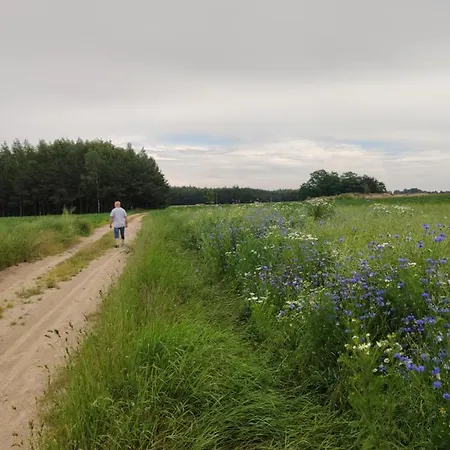 Letnisko Farm stay Sikory