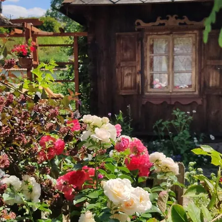 Letnisko Farm stay Sikory